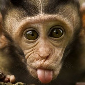 Meet your Posher, Sophia